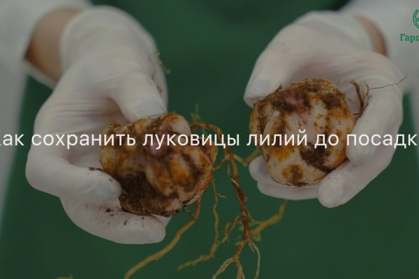 Кракен дарк оригинал ссылка