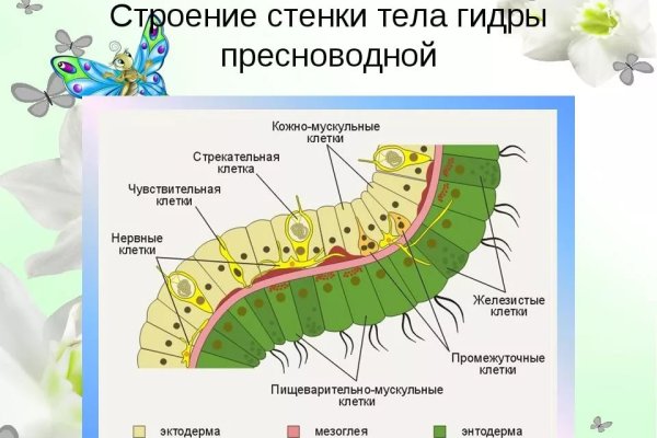Kraken площадка