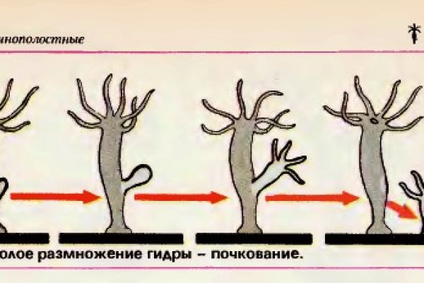 Кракен зеркало 2025