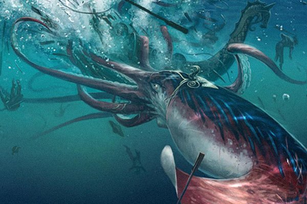Kraken whitenet marketplace