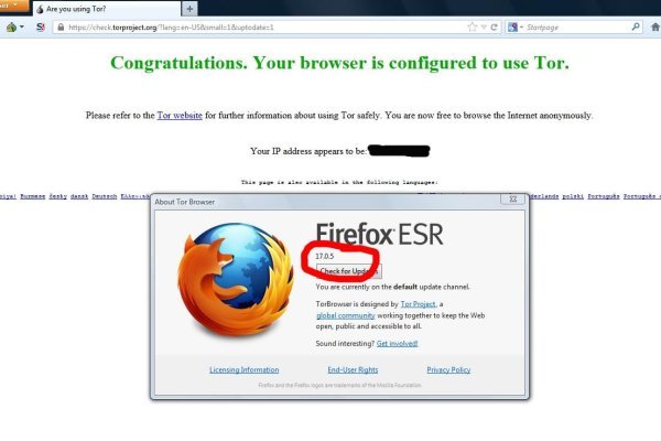 Практичные советы по где купить котиков